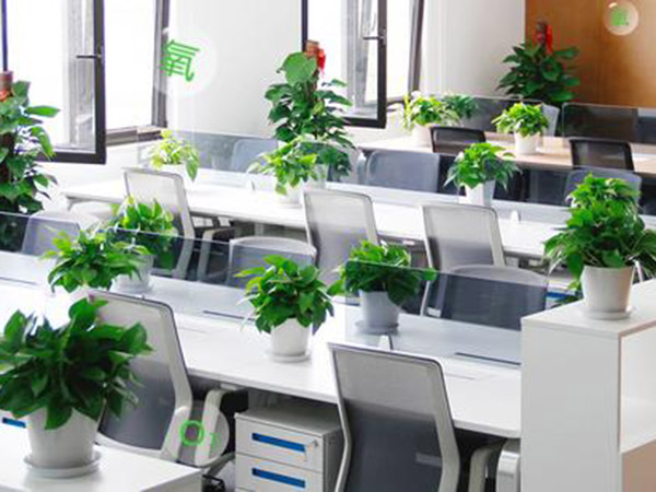 环境咨询与技术服务