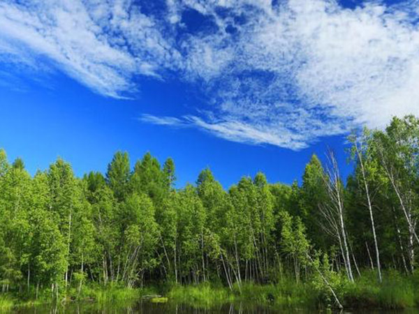 环境保护竣工验收报告及咨询